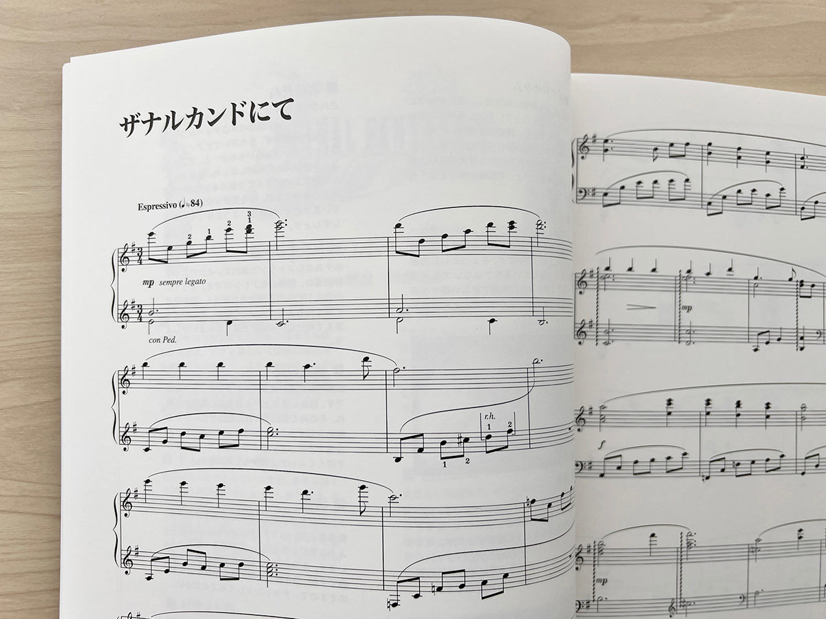 Final Fantasy X(10) Piano Solo(Advanced) Sheet Music Book