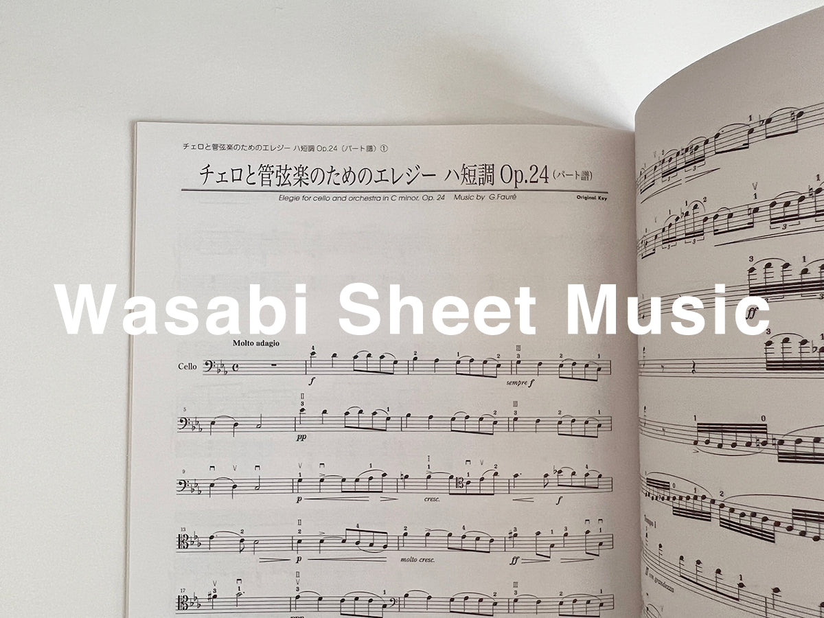 Standardsammlung für Cello und Klavier /Departures~on record~ Notenbuch