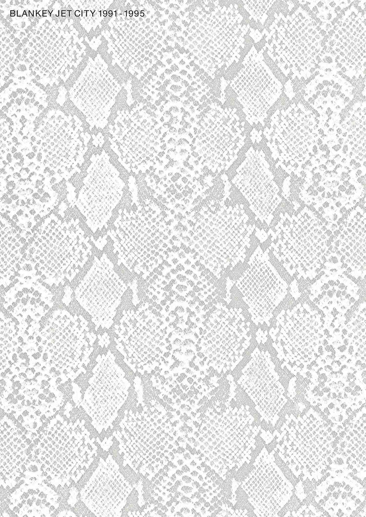 BLANKEY JET CITY Band Score / 1991-1995 Sheet Music Book