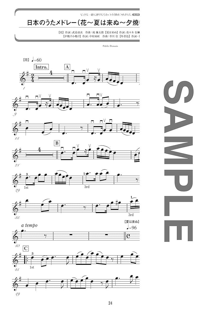 Die Sammlung cooler Lieder für Violine und Klavier. Notenbuch