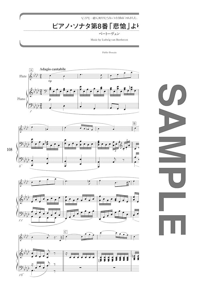 Cool Songs: Flute and Piano(Upper-Intermediate) Sheet Music Book