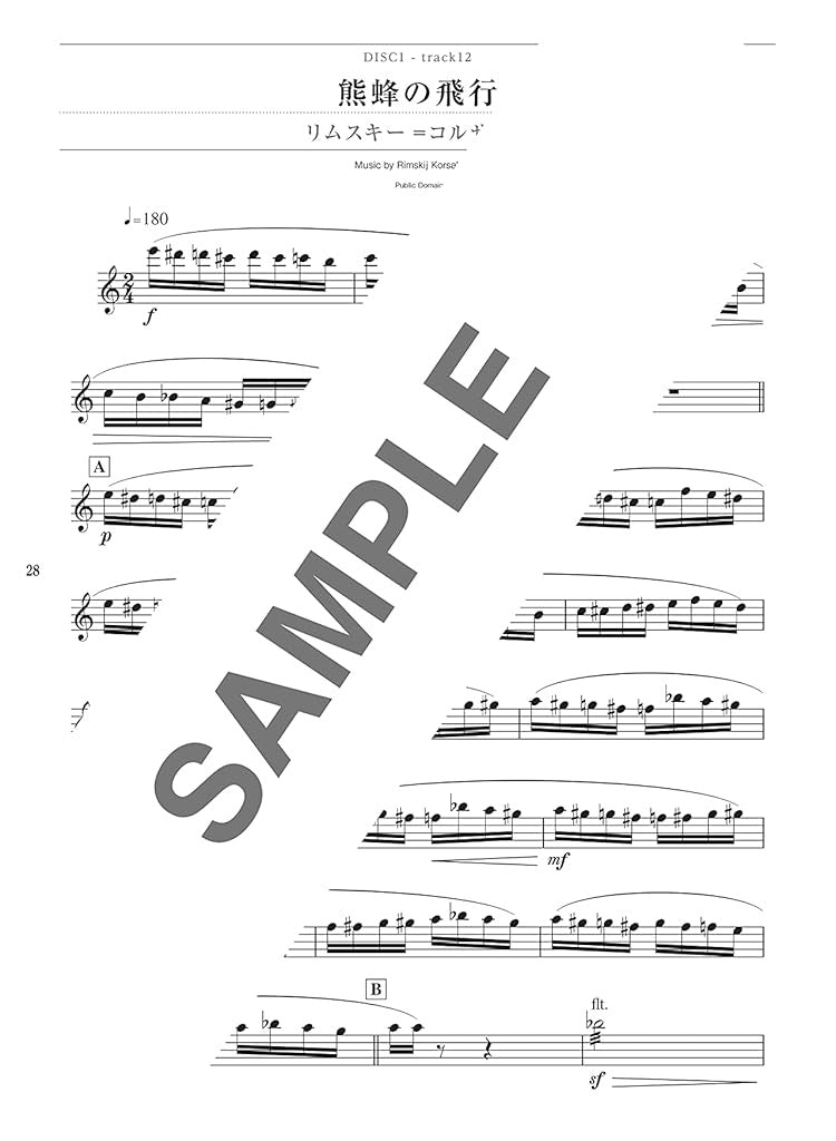 Beliebtes Song-Flöten-Solo-Repertoire für ein Flötenkonzert mit Notenbuch auf CD (Backing-Tracks).