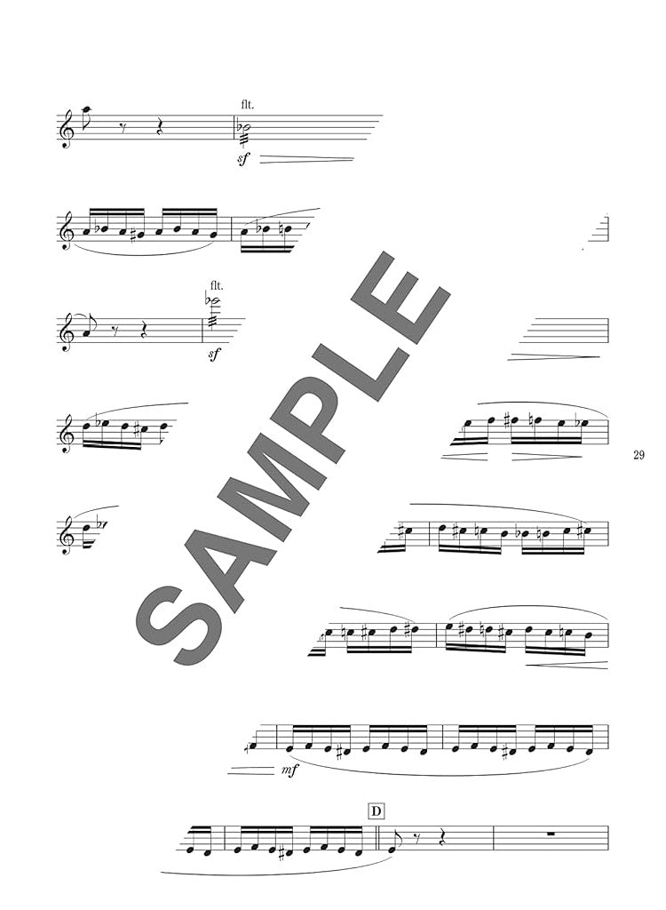 Beliebtes Song-Flöten-Solo-Repertoire für ein Flötenkonzert mit Notenbuch auf CD (Backing-Tracks).