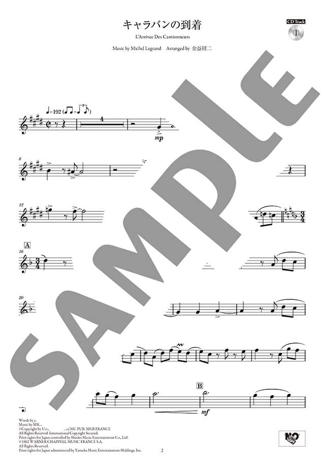 Concert Repertoire for Flute and Piano(Advanced) w/CD(Piano Accompaniment Tracks) Sheet Music Book