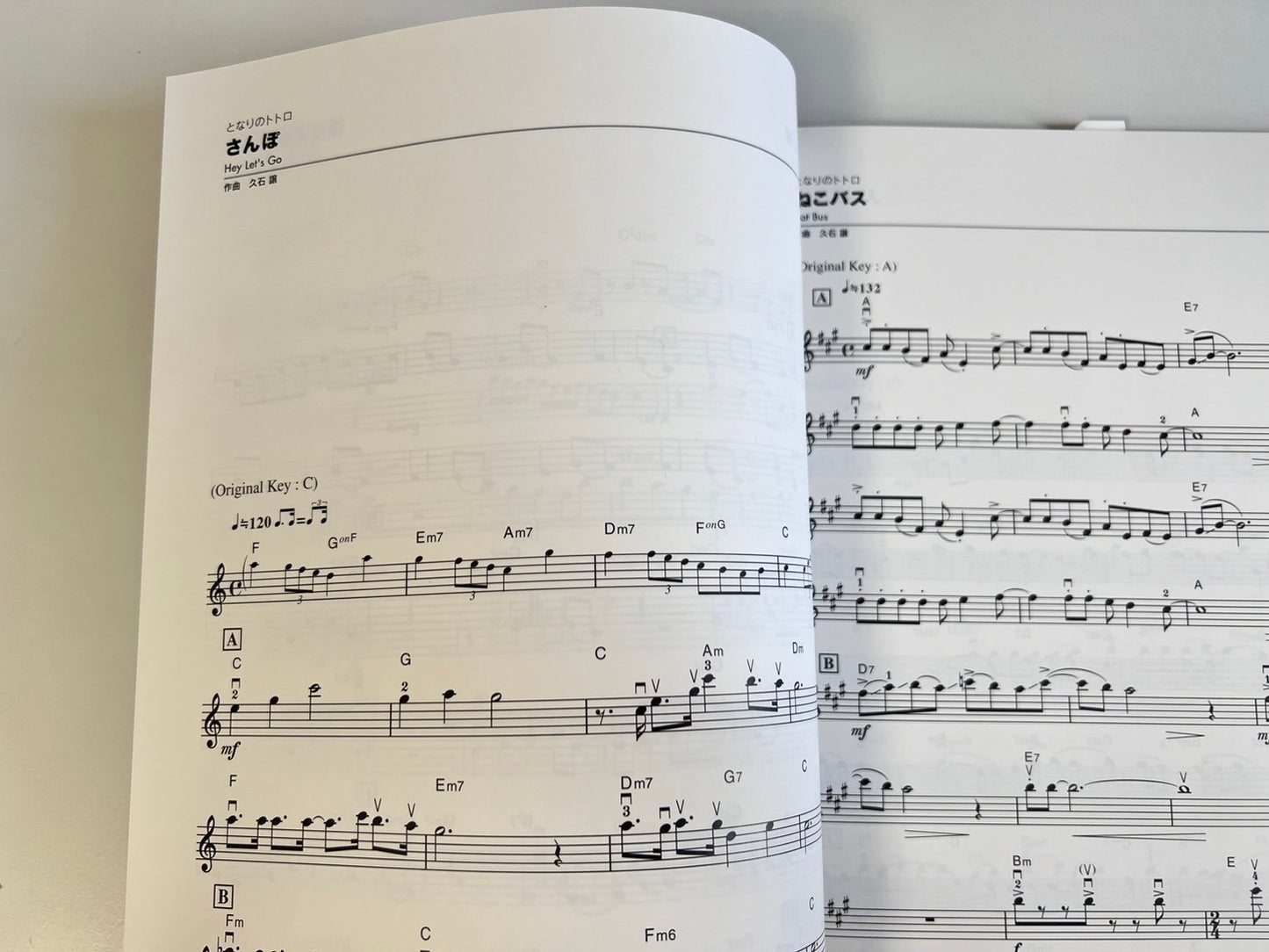 Studio Ghibli Melodies 100 for Violin Solo(Pre-Intermediate) Sheet Music Book