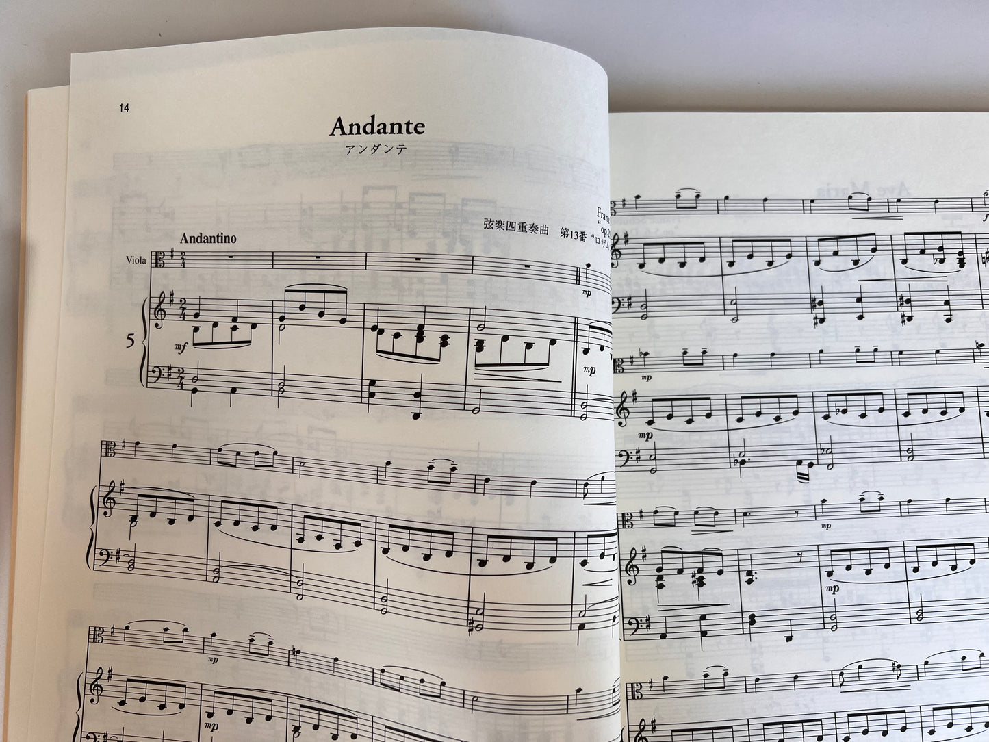 Viola Famous Collection 31: Notenbuch für Bratsche und Klavier (Mittelstufe).