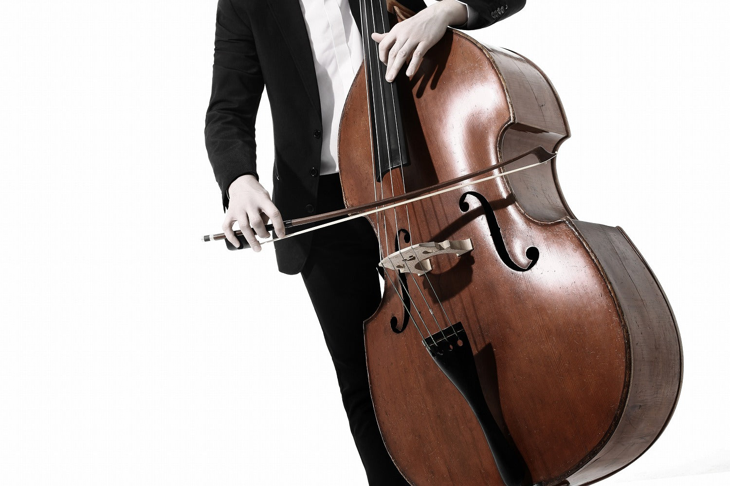 Contrabass