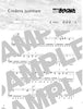 Puella Magi Madoka Magica(Anime) Piano Selection Piano Solo(Intermediate) Sheet Music Book