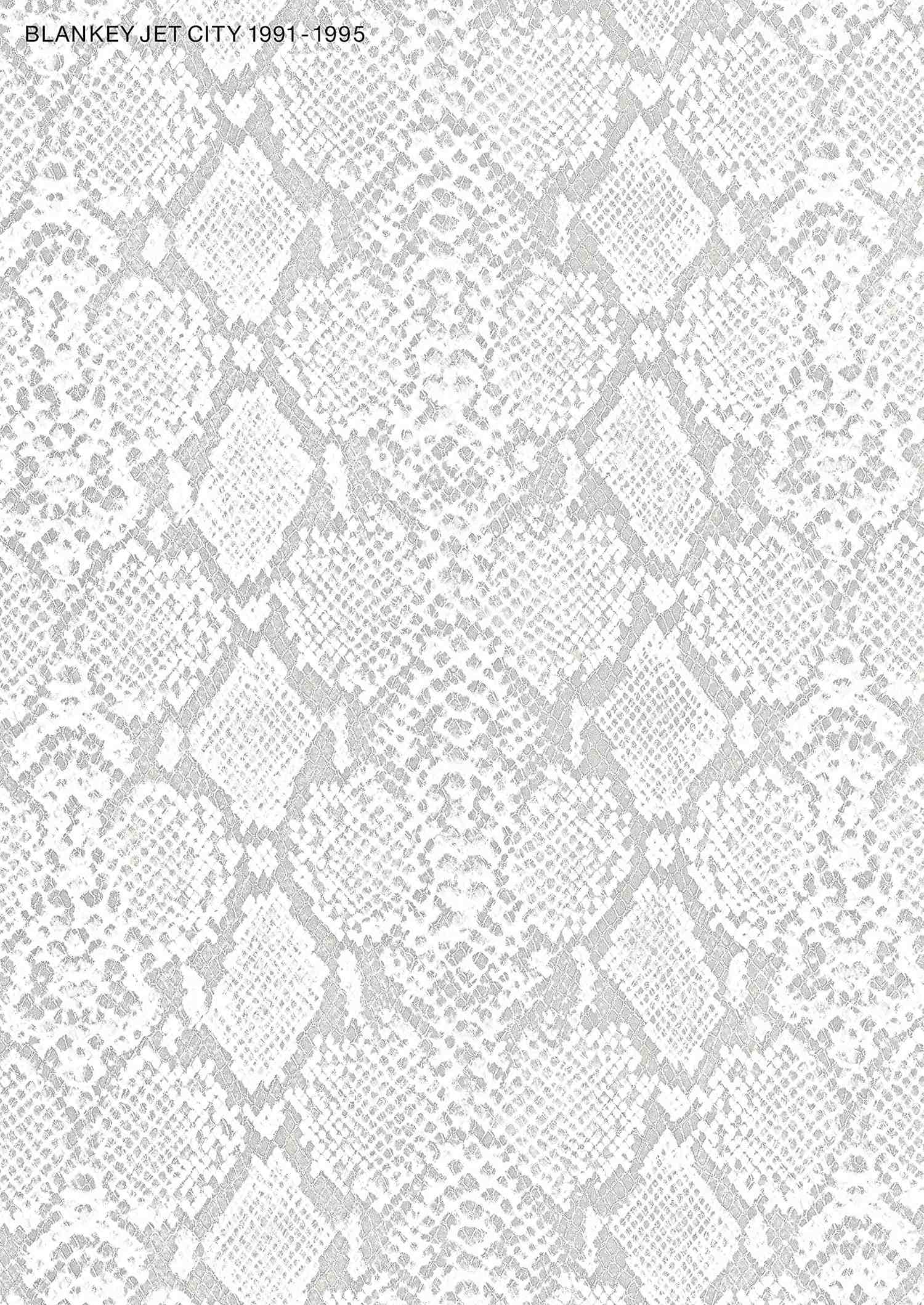 BLANKEY JET CITY Bandpartitur / Notenbuch 1991-1995