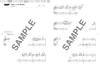 Notenbuch für klassische Musik, Klaviersolo für Erwachsene (Anfänger).