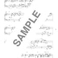 High Grade Piano Solo(Advanced): Overseas Great Hit Song Selection Sheet Music Book