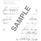 High Grade Piano Solo(Advanced): Overseas Great Hit Song Selection Sheet Music Book