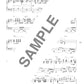 High Grade Piano Solo(Advanced): Overseas Great Hit Song Selection Sheet Music Book