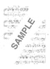 High Grade Piano Solo(Advanced): Overseas Great Hit Song Selection Sheet Music Book