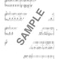 Anison: Die Lieblingssammlung japanischer Teenager: Anime-Songs, Klaviersolo (Mittelstufe), Notenbuch