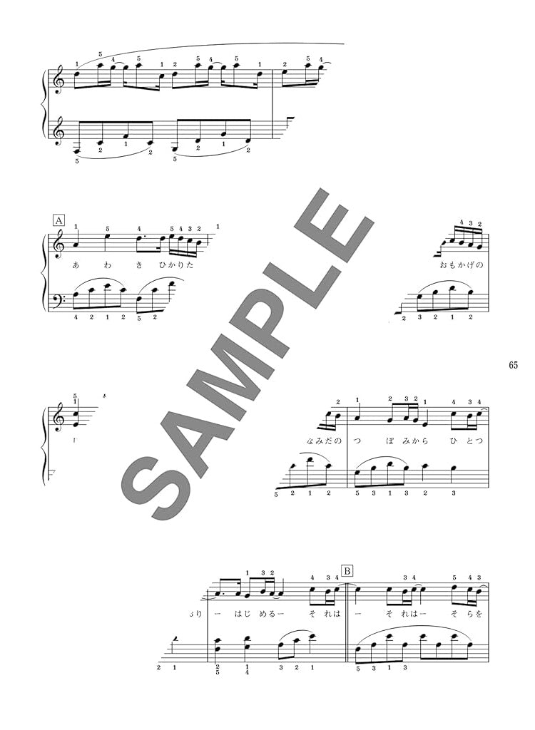 Standard Selection Piano Solo with gorgeous arrangemen for Grown-ups - Sheet Music Book