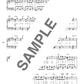 Beliebte Vocaloid-Songs für Klaviersolo (Mittelstufe) Notenbuch