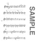 Popular Collection Flute Solo for Teenagers(Upper-Intermediate) Sheet Music Book