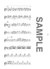 Popular Collection Flute Solo for Teenagers(Upper-Intermediate) Sheet Music Book