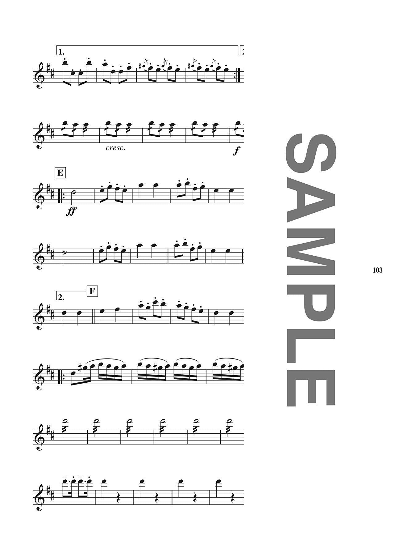 Popular Collection Flute Solo for Teenagers(Upper-Intermediate) Sheet Music Book