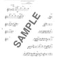 Beliebtes Song-Flöten-Solo-Repertoire für ein Flötenkonzert mit Notenbuch auf CD (Backing-Tracks).