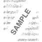 Beliebtes Song-Flöten-Solo-Repertoire für ein Flötenkonzert mit Notenbuch auf CD (Backing-Tracks).