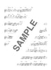 Beliebtes Song-Flöten-Solo-Repertoire für ein Flötenkonzert mit Notenbuch auf CD (Backing-Tracks).
