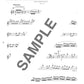 Beliebtes Song-Flöten-Solo-Repertoire für ein Flötenkonzert mit Notenbuch auf CD (Backing-Tracks).