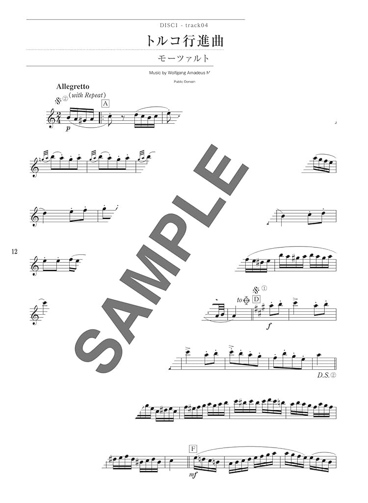 Beliebtes Song-Flöten-Solo-Repertoire für ein Flötenkonzert mit Notenbuch auf CD (Backing-Tracks).