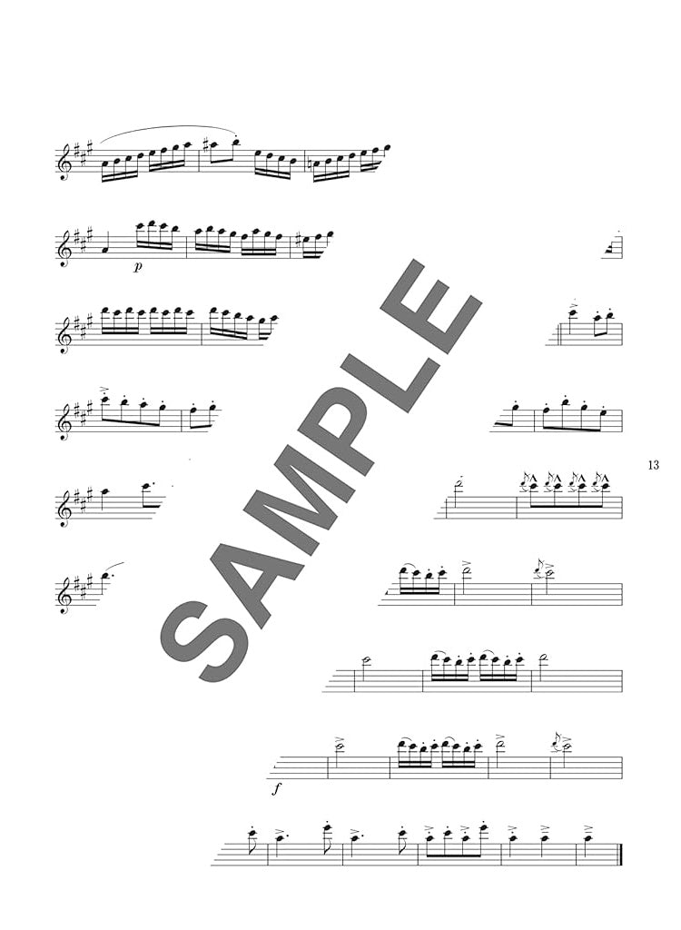 Beliebtes Song-Flöten-Solo-Repertoire für ein Flötenkonzert mit Notenbuch auf CD (Backing-Tracks).