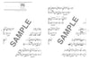 Die Sammlung beliebter Lieder für Ukulele Solo mit CD (Demo-Performance) Notenbuch