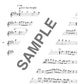 Popular and Standard Repertoire Flute Solo(Upper-Intermediate) Sheet Music Book