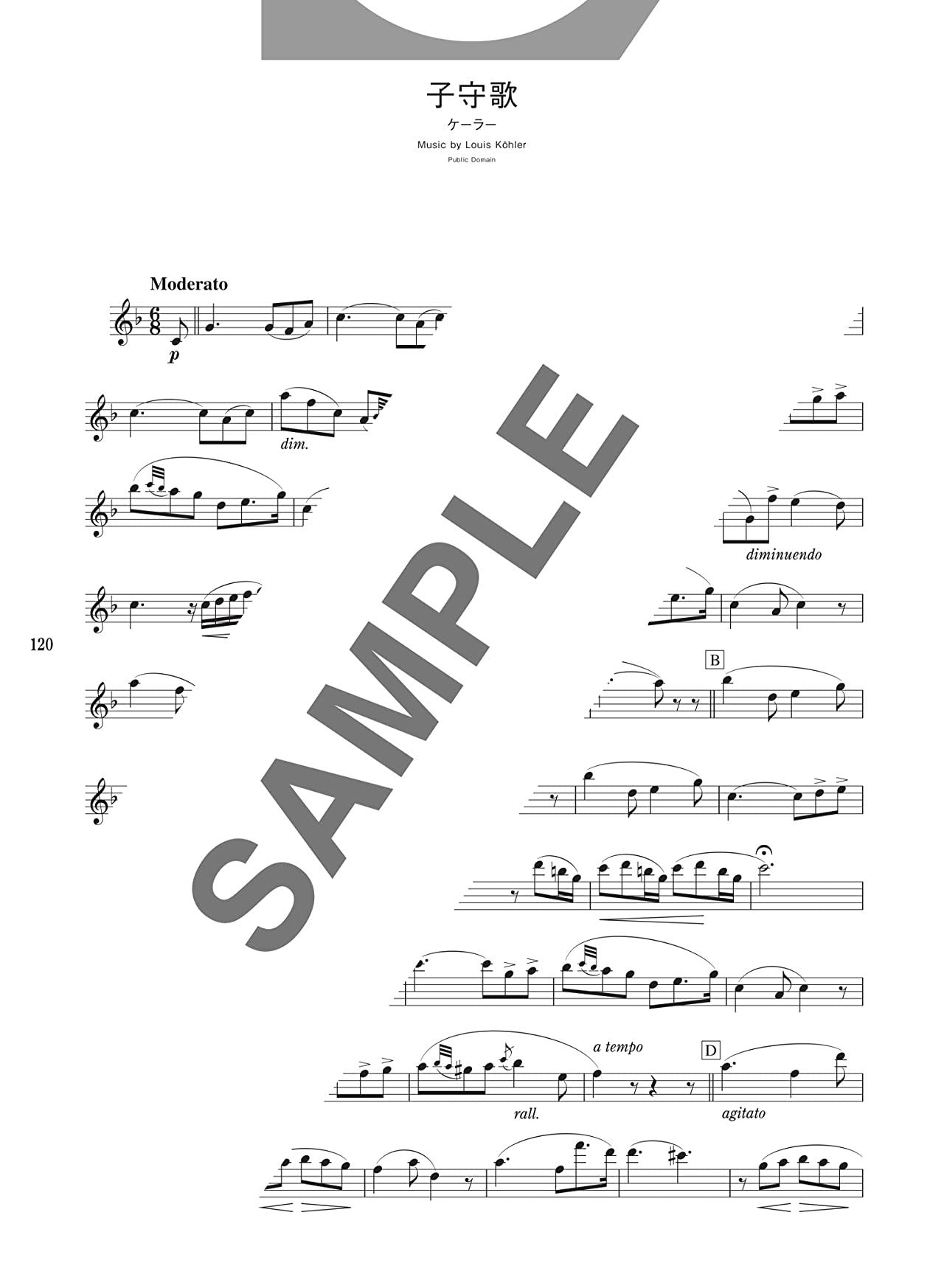 Popular and Standard Repertoire Flute Solo(Upper-Intermediate) Sheet Music Book