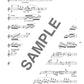 Popular and Standard Repertoire Flute Solo(Upper-Intermediate) Sheet Music Book