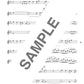 J-POP Boys Idol Hits for Flute Solo(Upper-Intermediate) Sheet Music Book