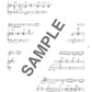 Auswahl beliebter Lieder für ein Flötenkonzert. Notenbuch für Flöte und Klavier (obere Mittelstufe).