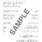 Auswahl beliebter Lieder für ein Flötenkonzert. Notenbuch für Flöte und Klavier (obere Mittelstufe).