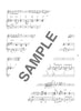 Auswahl beliebter Lieder für ein Flötenkonzert. Notenbuch für Flöte und Klavier (obere Mittelstufe).