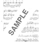 Auswahl beliebter Lieder für ein Flötenkonzert. Notenbuch für Flöte und Klavier (obere Mittelstufe).