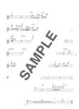 Disney Selection for Flute Solo w/CD(Backing Tracks)(Upper-Intermediate) Sheet Music Book
