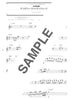 Disney Selection for Flute Solo w/CD(Backing Tracks)(Upper-Intermediate) Sheet Music Book