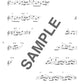 Disney Selection for Flute Solo w/CD(Backing Tracks)(Upper-Intermediate) Sheet Music Book