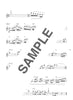 Disney Selection for Flute Solo w/CD(Backing Tracks)(Upper-Intermediate) Sheet Music Book