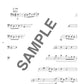 Beliebtes und Standardrepertoire für Tuba Solo (Obere Mittelstufe) Notenbuch