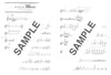 Die Sammlung cooler populärer Songs für Trompetensolo mit CD (Backing Tracks) (Obere Mittelstufe) Notenbuch