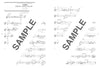 Die Sammlung cooler populärer Songs für Trompetensolo mit CD (Backing Tracks) (Obere Mittelstufe) Notenbuch