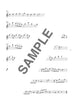 Standard Collection Altsaxophon-Solo (leicht) Notenbuch
