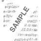 Standard Collection Altsaxophon-Solo (leicht) Notenbuch