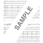 Die Sammlung der meisten Standardlieder, Bandpartitur (Anfänger), Notenbuch