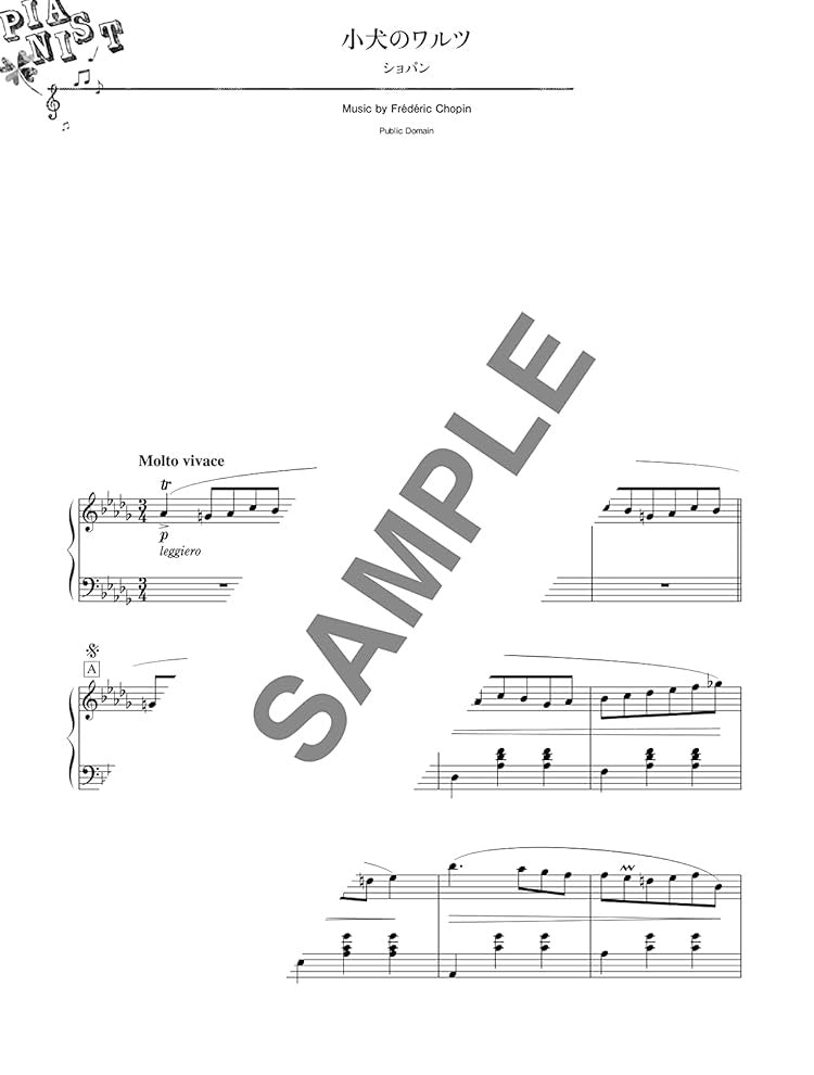 Standard Songs 2023 for Piano Solo - Sheet Music Book